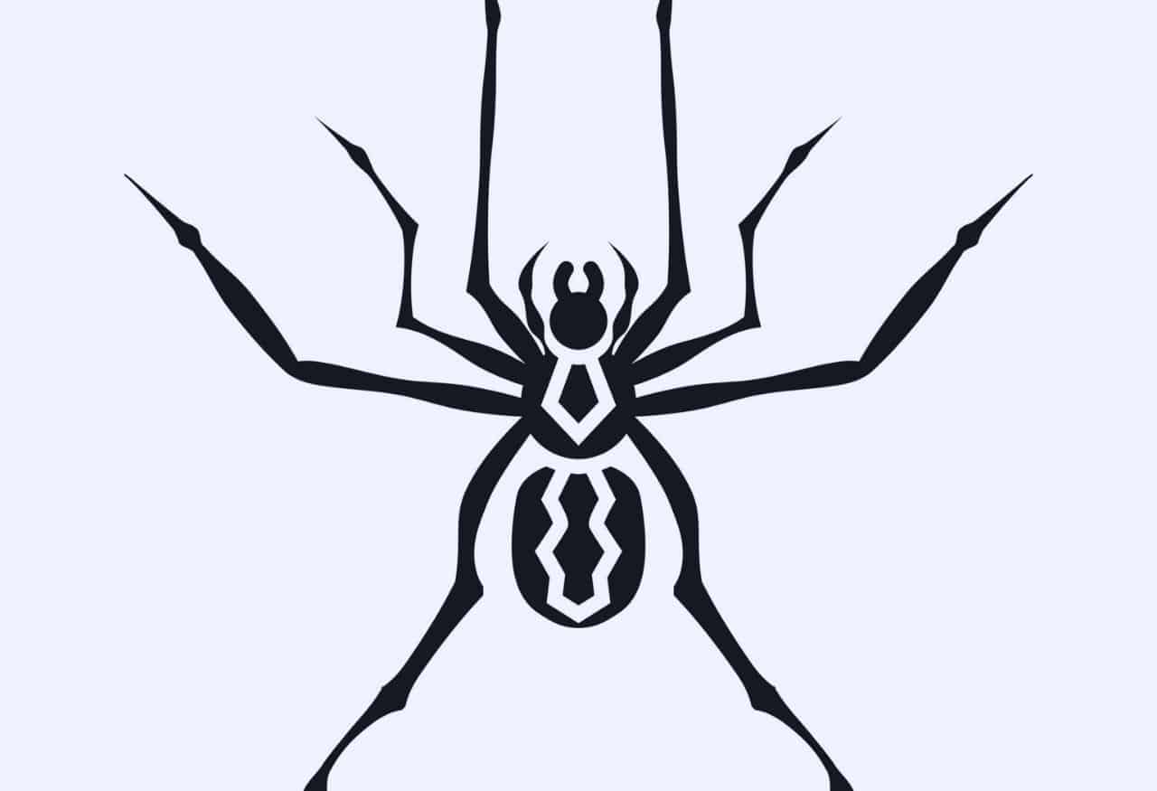 Significado espiritual da aranha: saiba qual é 🕷